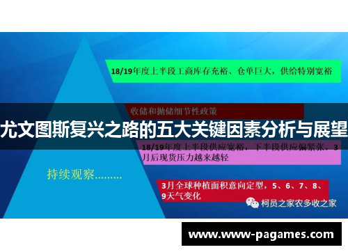 尤文图斯复兴之路的五大关键因素分析与展望 尤文图斯复兴之路的五大关键因素分析与展望