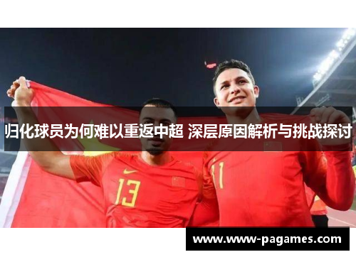 归化球员为何难以重返中超 深层原因解析与挑战探讨