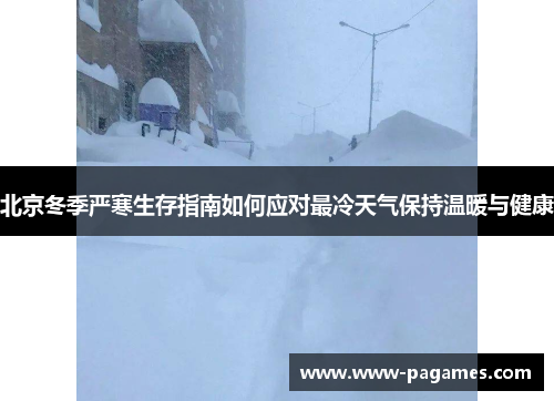 北京冬季严寒生存指南如何应对最冷天气保持温暖与健康