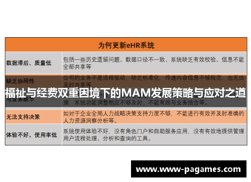 福祉与经费双重困境下的MAM发展策略与应对之道 福祉与经费双重困境下的MAM发展策略与应对之道