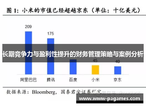 长期竞争力与盈利性提升的财务管理策略与案例分析