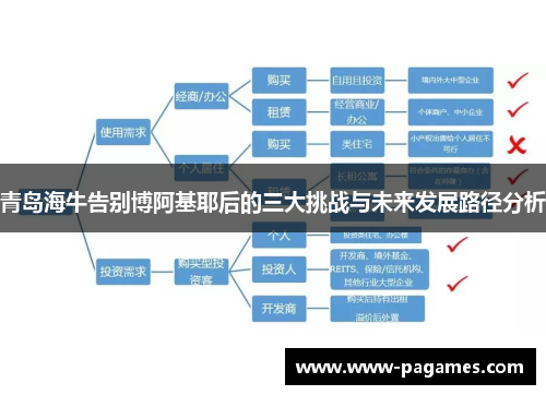 青岛海牛告别博阿基耶后的三大挑战与未来发展路径分析